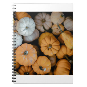 Carnet gourdes