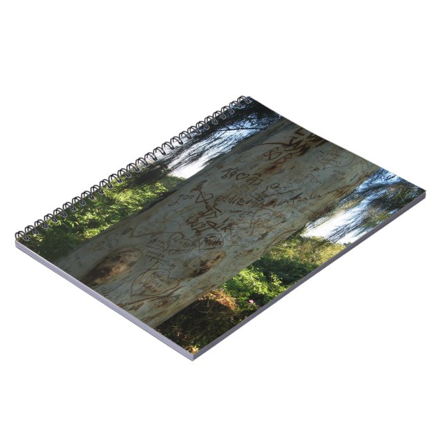 Carnet Graffiti thaïlandais (Côté gauche)