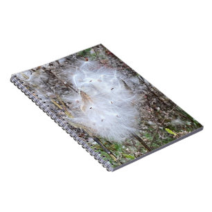 Carnet Graines d'algues laitières et spirale de soie