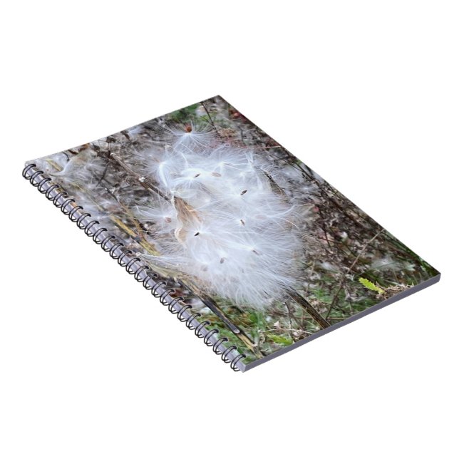 Carnet Graines d'algues laitières et spirale de soie (Côté Droit)