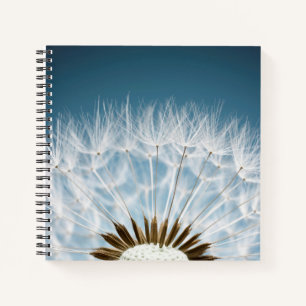 Carnet Graines de Dandelion
