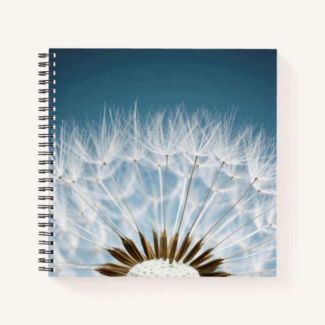 Carnet Graines de Dandelion (Devant)