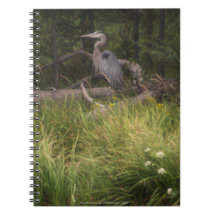 Carnet Grand héron bleu 8917