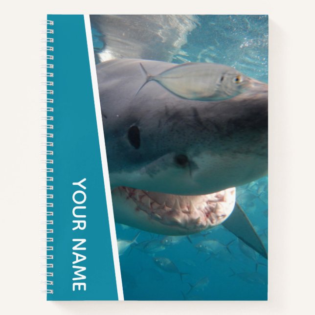 Carnet Grand Requin Blanc Australie Sourire Dents (Devant)