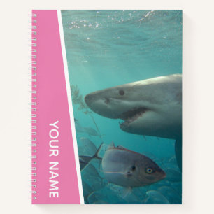 Carnet Grand requin blanc et poisson Australie, rose