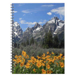 Carnet Grand Tétons aux fleurs jaunes