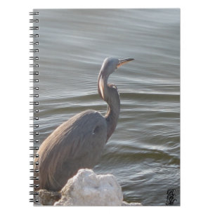 Carnet Grande Aigrette au bord de l'eau