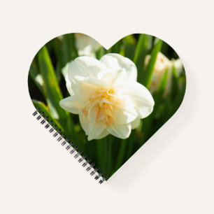 Carnet Grands narcisses blancs par un jour de printemps 