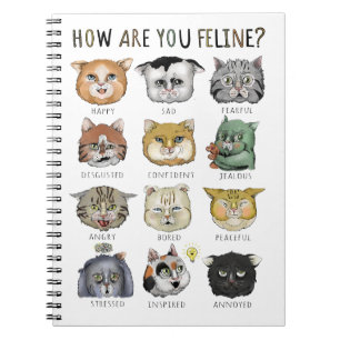 Carnet Graphique des Humeurs Drôles de Chat Comment allez