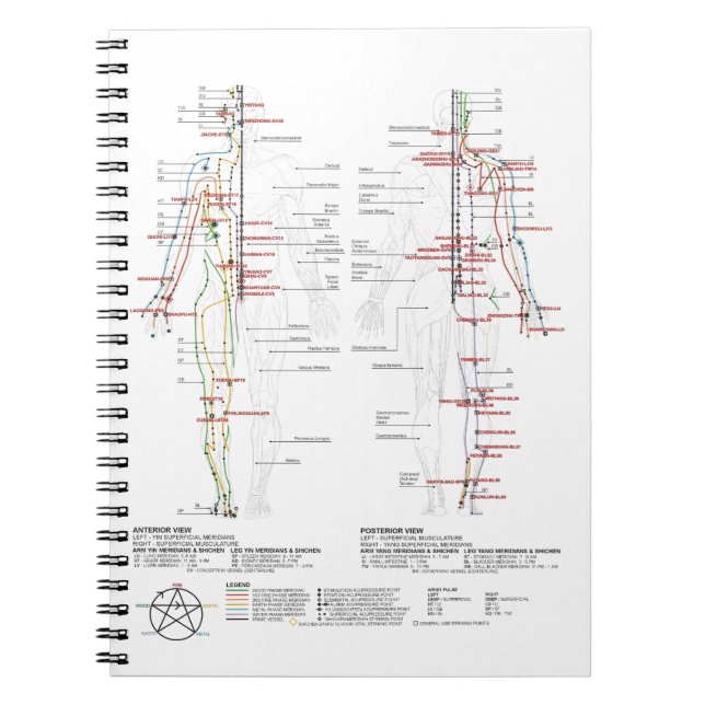 Carnet Graphique des méridiens humains (Devant)