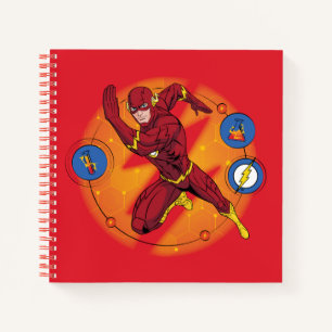 Carnet Graphique d'exécution du laboratoire Flash de dess