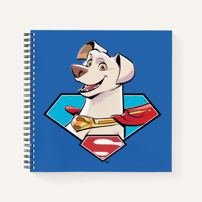 Carnet Graphique Krypto S-Shield (Devant)