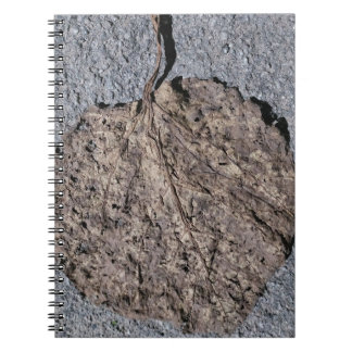 Carnet Graphique/ Texturé