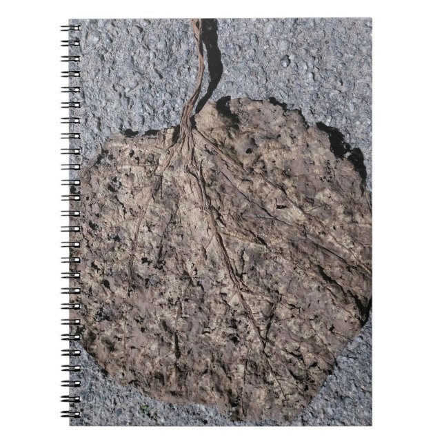 Carnet Graphique/ Texturé (Devant)