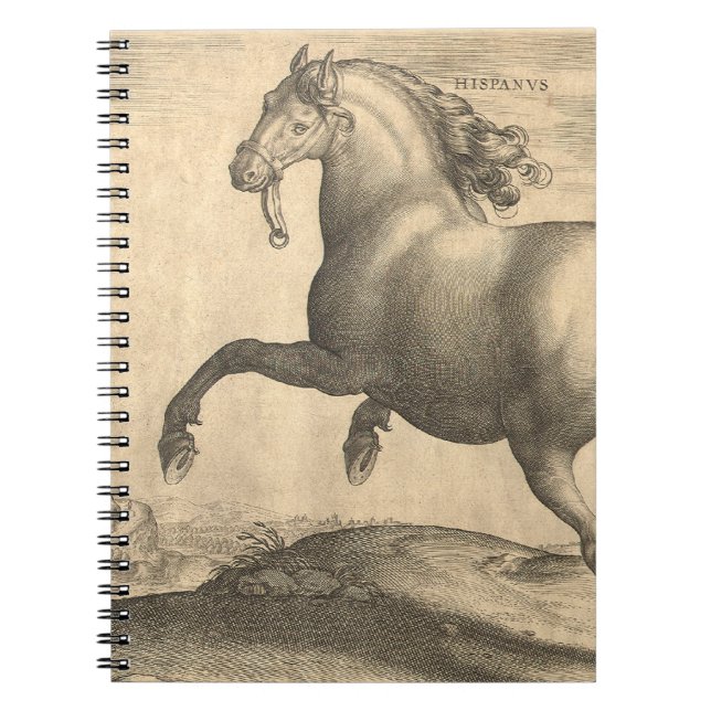 Carnet Gravure antique élégante de cheval espagnol (Devant)