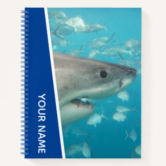 Carnet Great White Shark Australia Ocean Theme, Blue Boys