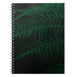 CARNET GREEN FERN PLANTE EN FERME PHOTOGRAPHIE