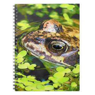 CARNET GRENOUILLE
