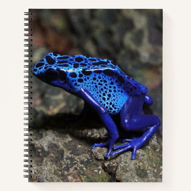 Carnet Grenouille à tarte à poison bleu, grenouille bleue (Devant)
