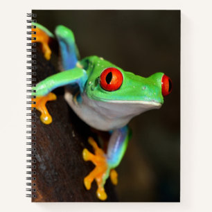Carnet Grenouille à yeux rouges tropicale - Agalychnis Ca
