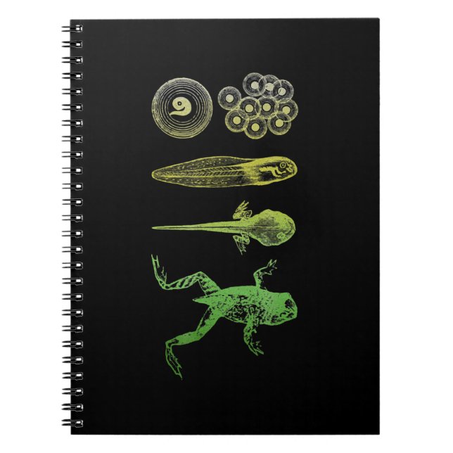 Carnet Grenouille Tadpole Métamorphose Cycle de vie Biolo (Devant)