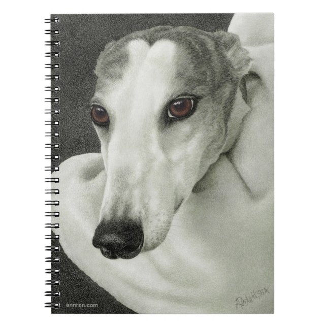 Carnet Greyhound - "Sécurité" (Devant)