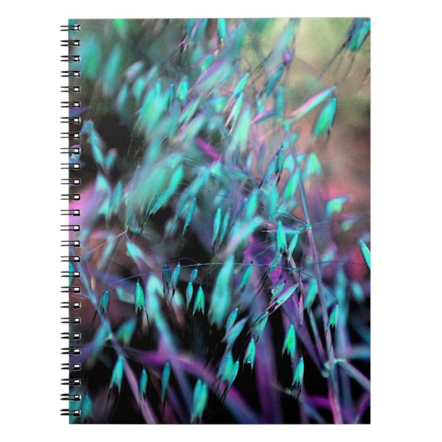 Carnet Gris aquarelle (Devant)