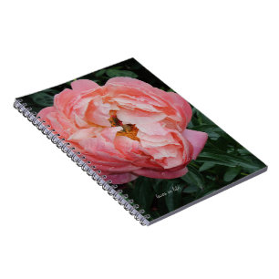 Carnet Gros Gras Pink Peony