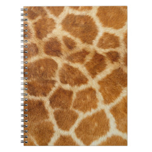 Carnet Gros plan, Cheveux, Spots