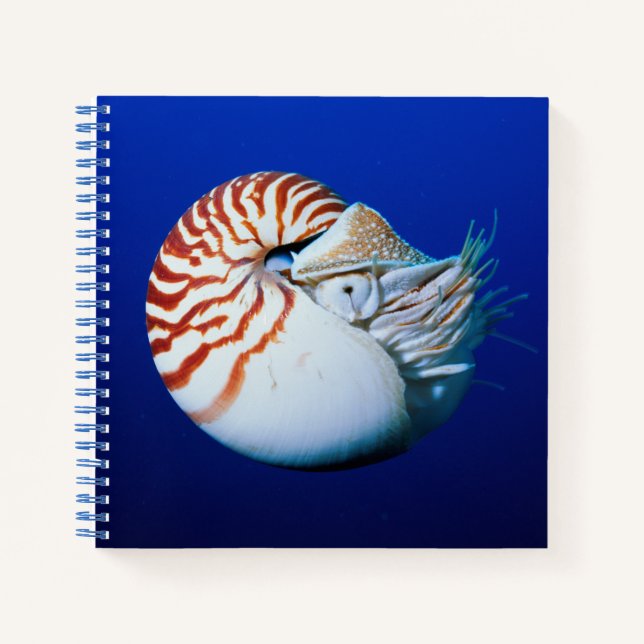 Carnet Gros Plan De Chambres Nautilus (Devant)