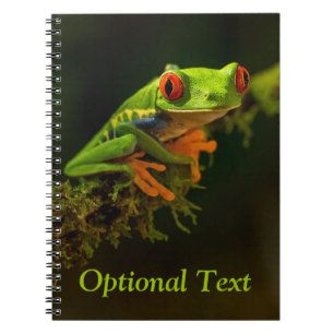 Carnet Gros plan d'une grenouille à arbre rouge #1