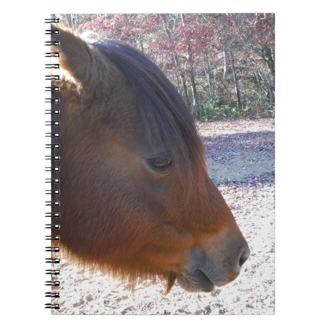 Carnet Gros plan sur le cheval Brown, Little Brown Pony (Devant)
