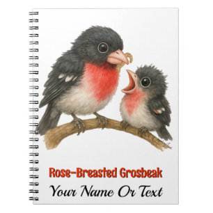 Carnet Grosbeak à poitrine Rose étonnante