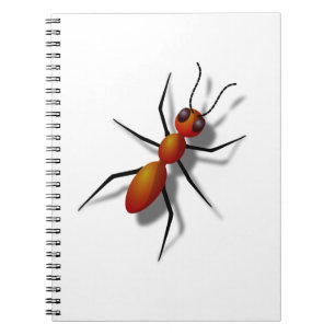 Carnet Grosse fourmi rouge