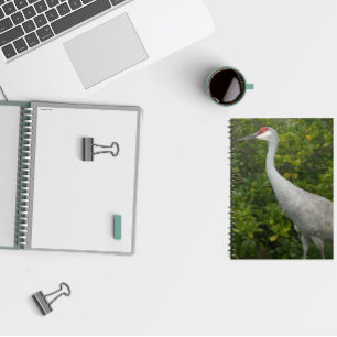 Carnet Grue de Sandhill Oiseau vert Feuilles Photo