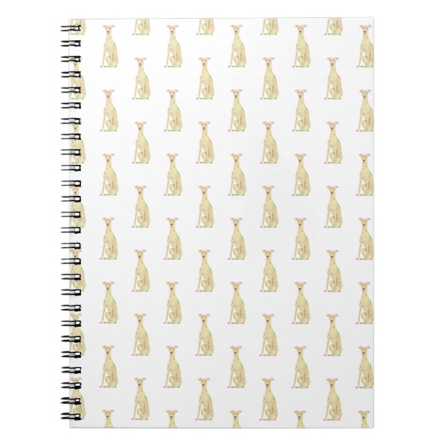 Carnet Gryhound (Tan Fun) (Devant)