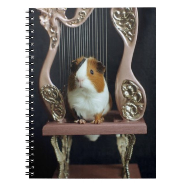 Carnet Guinea Pig Harp Notebook – Whimsical Storybook (Devant)