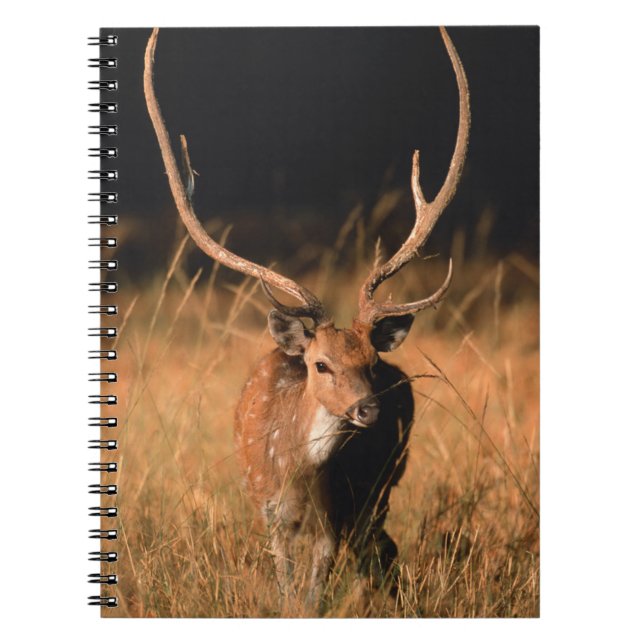 Carnet Habitat naturel de l'hôpital | Parc national de Ba (Devant)