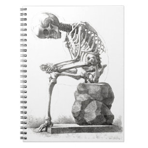 Carnet Halloween squelette assis anatomie