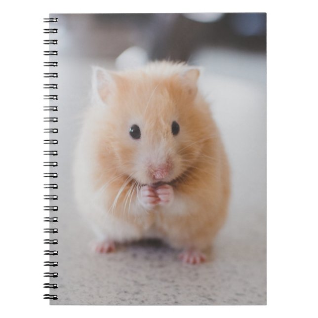 Carnet Hamster mignon (Devant)