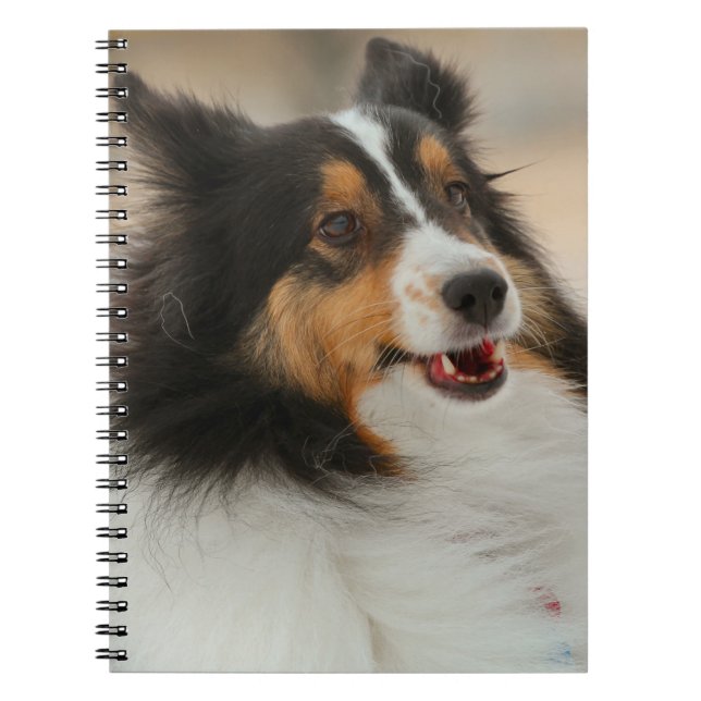 Carnet Happy Shelty (Devant)