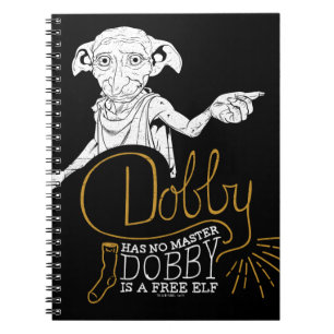 Carnet Harry Potter Dobby N'A Pas De Maître