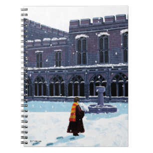 Carnet HARRY POTTER™ & Hedwig dans la cour de HOGWARTS™