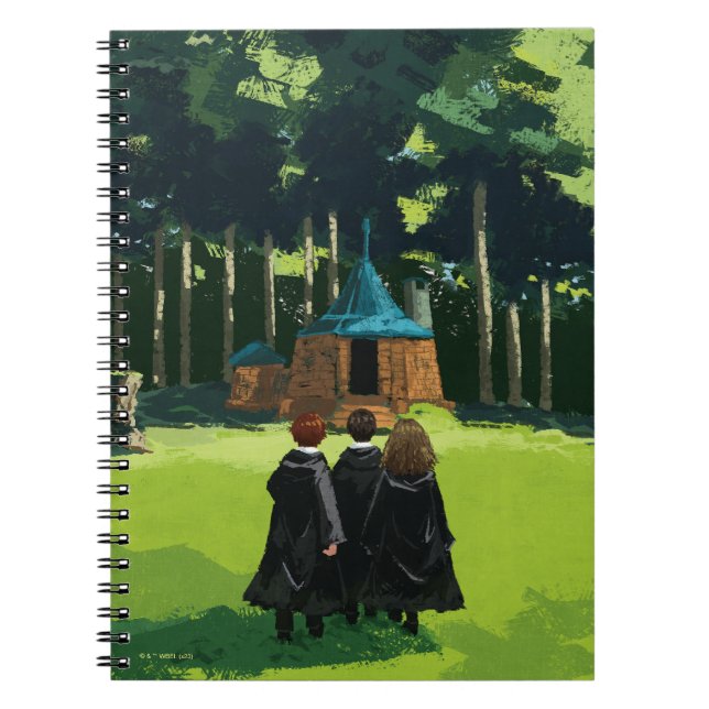 Carnet HARRY POTTER™, Ron & Hermione à la cabane de Hagri (Devant)