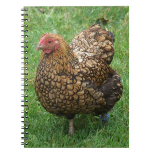Carnet Hen