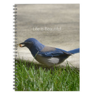 Carnet Herbe Merlebleu (ma photographie)