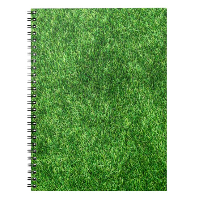 Carnet Herbe verte (Devant)