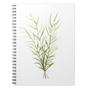 Carnet Herbes de romarin
