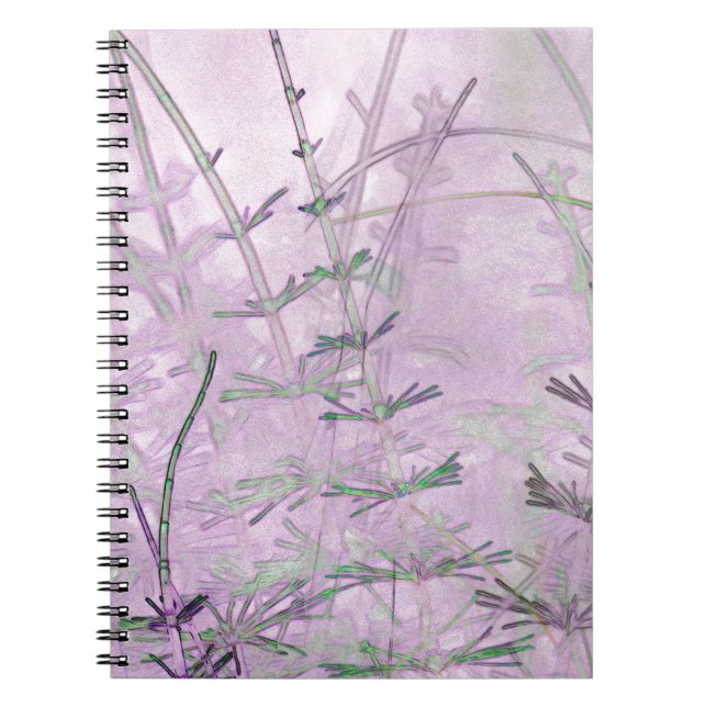 Carnet Herbes/tiges de corail (Devant)