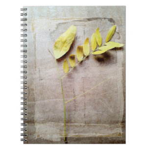 Carnet Herbier V